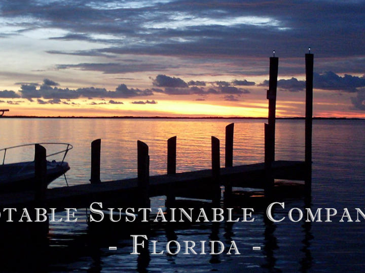 Notable Sustainable Companies in Florida