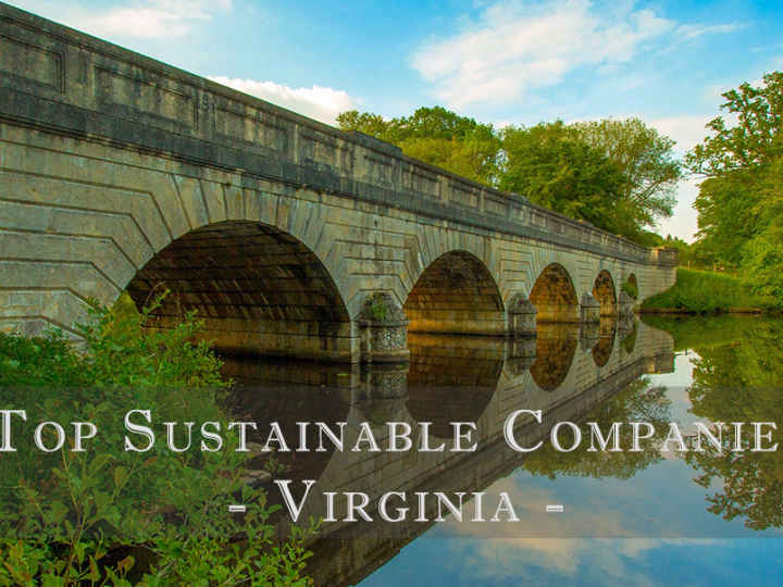 Top Sustainable Companies in Virginia