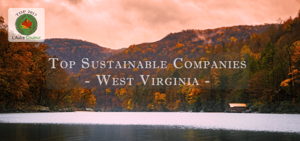 Notable sustainable companies in west virginia