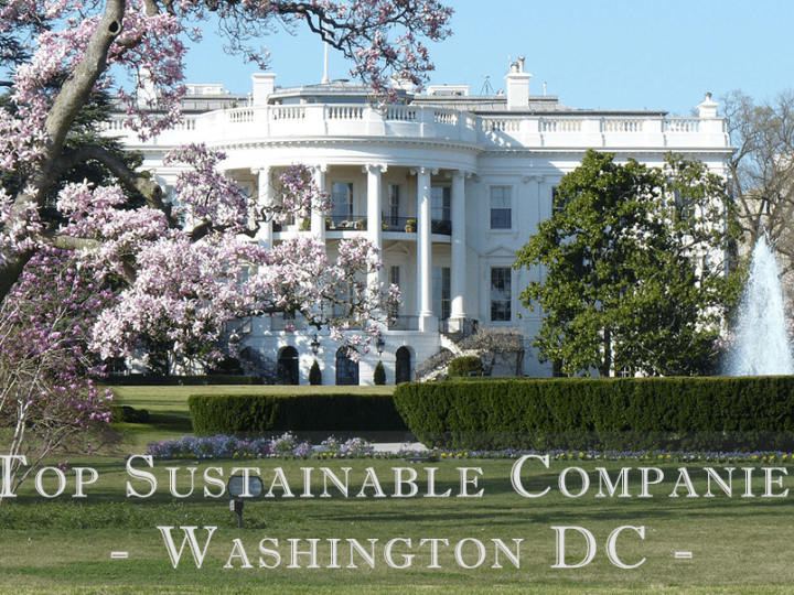 Top Sustainable Companies in Washington DC