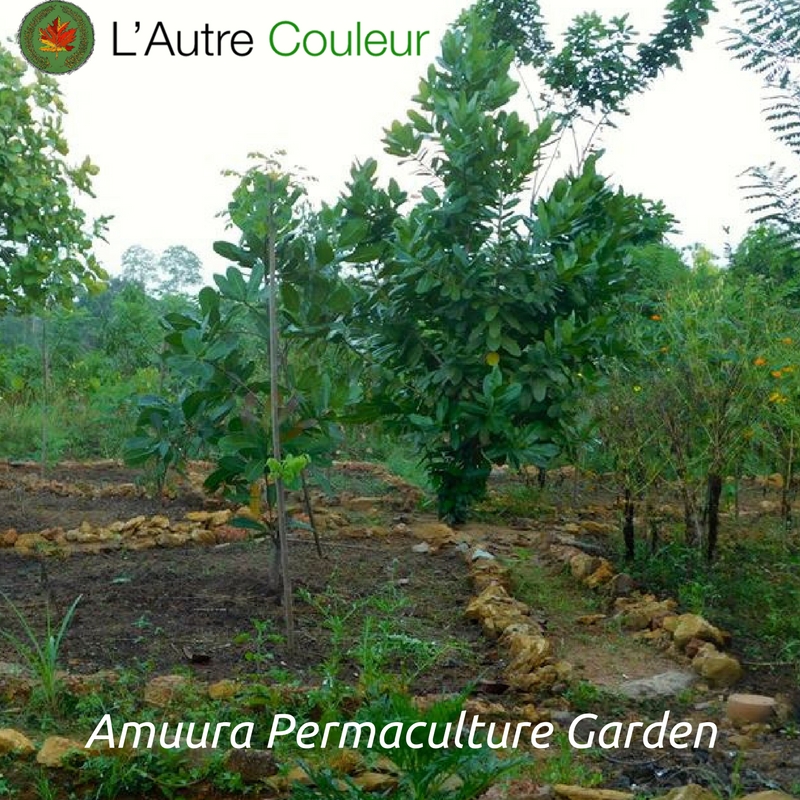 Amuura Permaculture Garden in Sri Lanka
