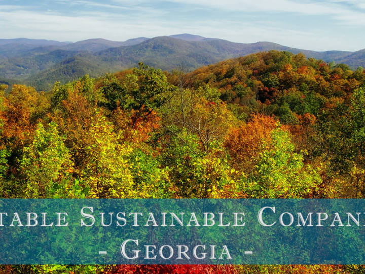 Notable Sustainable Companies in Georgia