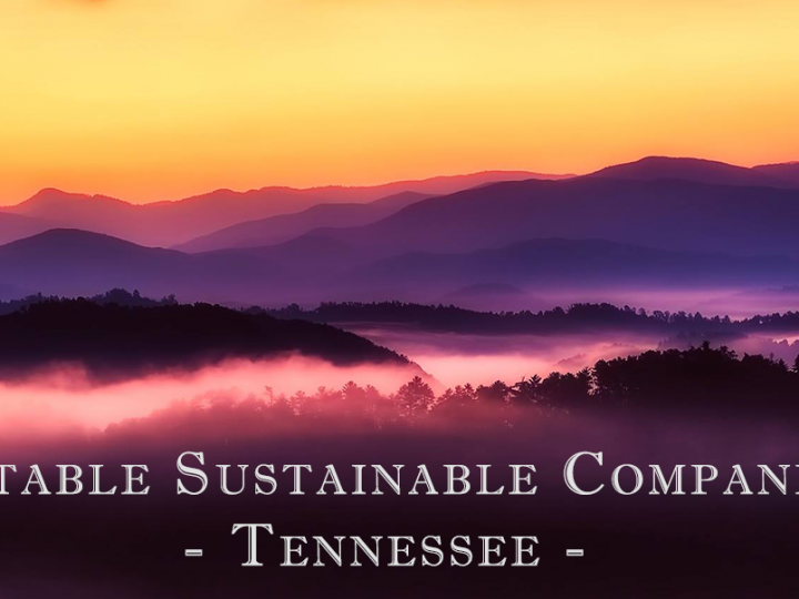 Notable Sustainable Companies in Tennessee