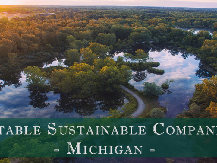 Notable Sustainable Companies in Michigan